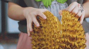 榴蓮剝好肉后，搗成泥狀。