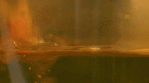 雞肉、鹽、料酒入冷水鍋水開(kāi)后撇去浮沫，溫水洗凈。